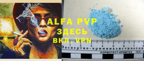 прущие крисы Белокуриха